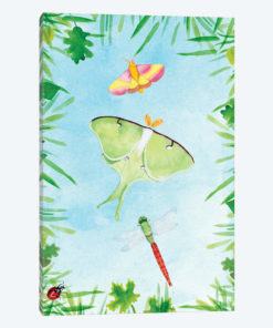 Bug Collector I