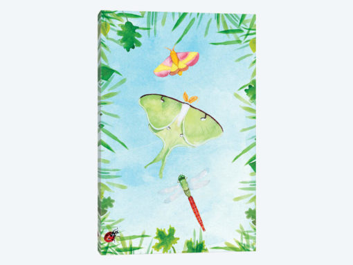 Bug Collector I