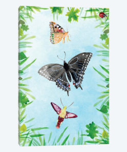 Bug Collector II