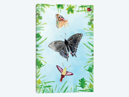 Bug Collector II
