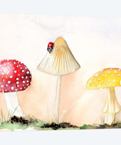 Faerie Mushrooms I