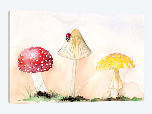 Faerie Mushrooms I