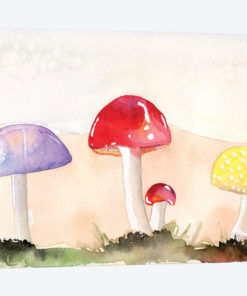 Faerie Mushrooms II