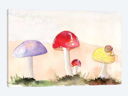 Faerie Mushrooms II