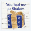 Punny Hanukkah Collection F