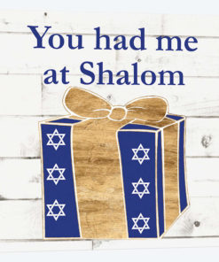 Punny Hanukkah Collection F