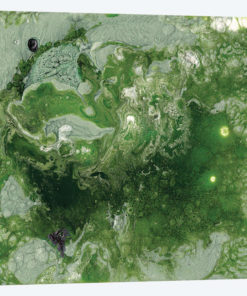 Pangaea I