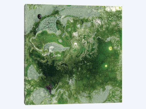 Pangaea I