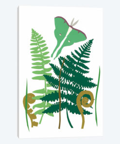 Fern Fantasy Garden I