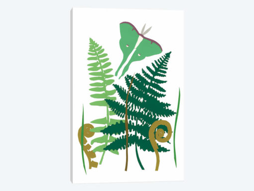 Fern Fantasy Garden I