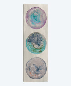 Planet Trio I