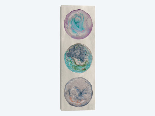 Planet Trio I