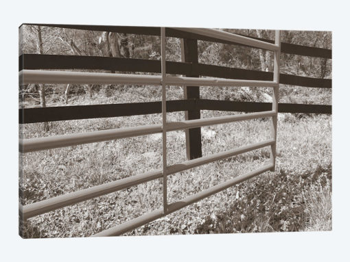 Sepia Farm Study I