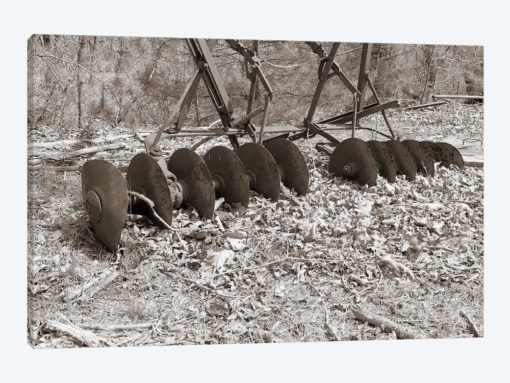 Sepia Farm Study III