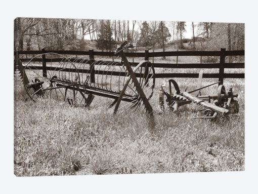 Sepia Farm Study IV