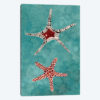 Twin Starfish I