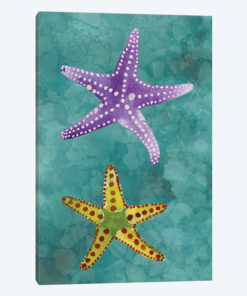 Twin Starfish II