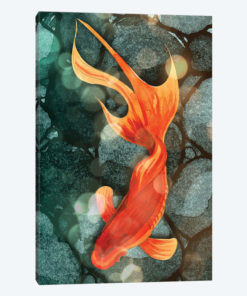 Fantail I