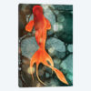 Fantail II