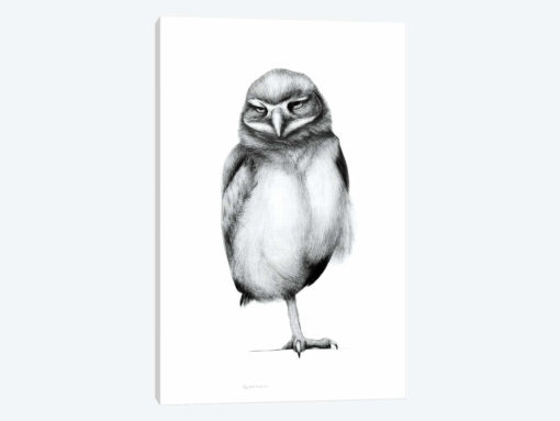 Annoyed Owl