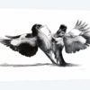Conflict Of flight