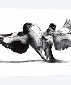 Conflict Of flight