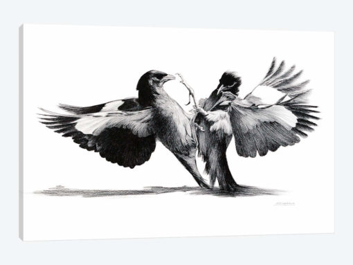 Conflict Of flight
