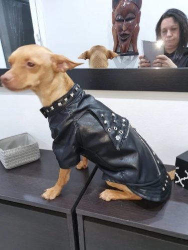 Cool Leather Dog Jacket Coat Dog Clothes French Bulldog Waterproof Pet Clothing Outfit for Small Medium Dogs Black photo review