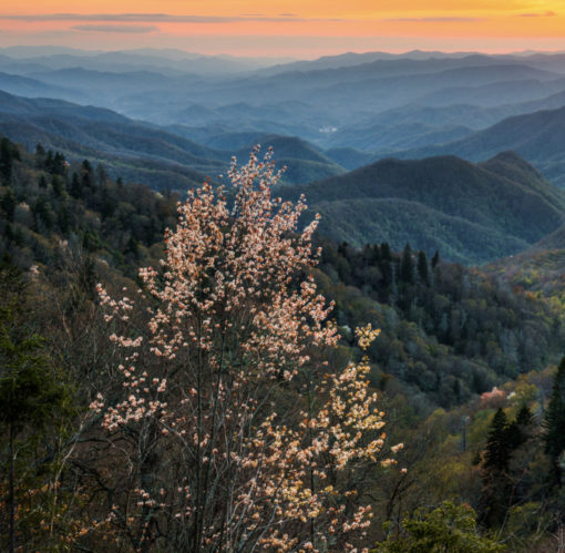 Smoky Mountain Sunset on Canvas, National Park Photo, North Carolina Scenic Blue Ridge Mountains, Appalachians, Office Decor, Nature Artwork - Image 4