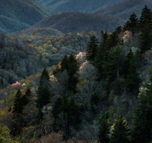 Smoky Mountain Sunset on Canvas, National Park Photo, North Carolina Scenic Blue Ridge Mountains, Appalachians, Office Decor, Nature Artwork - Image 6